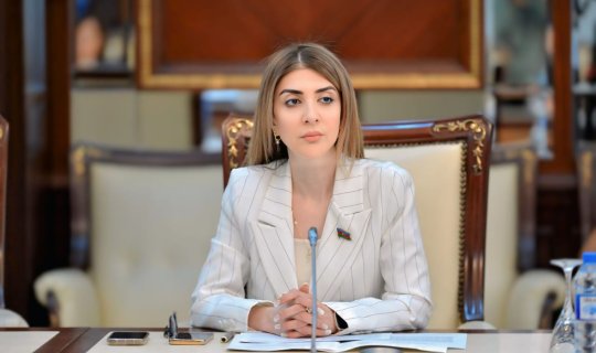Bölgələrdə universitetlərin yaradılması sosial-iqtisadi inkişafa TƏKAN VERİR