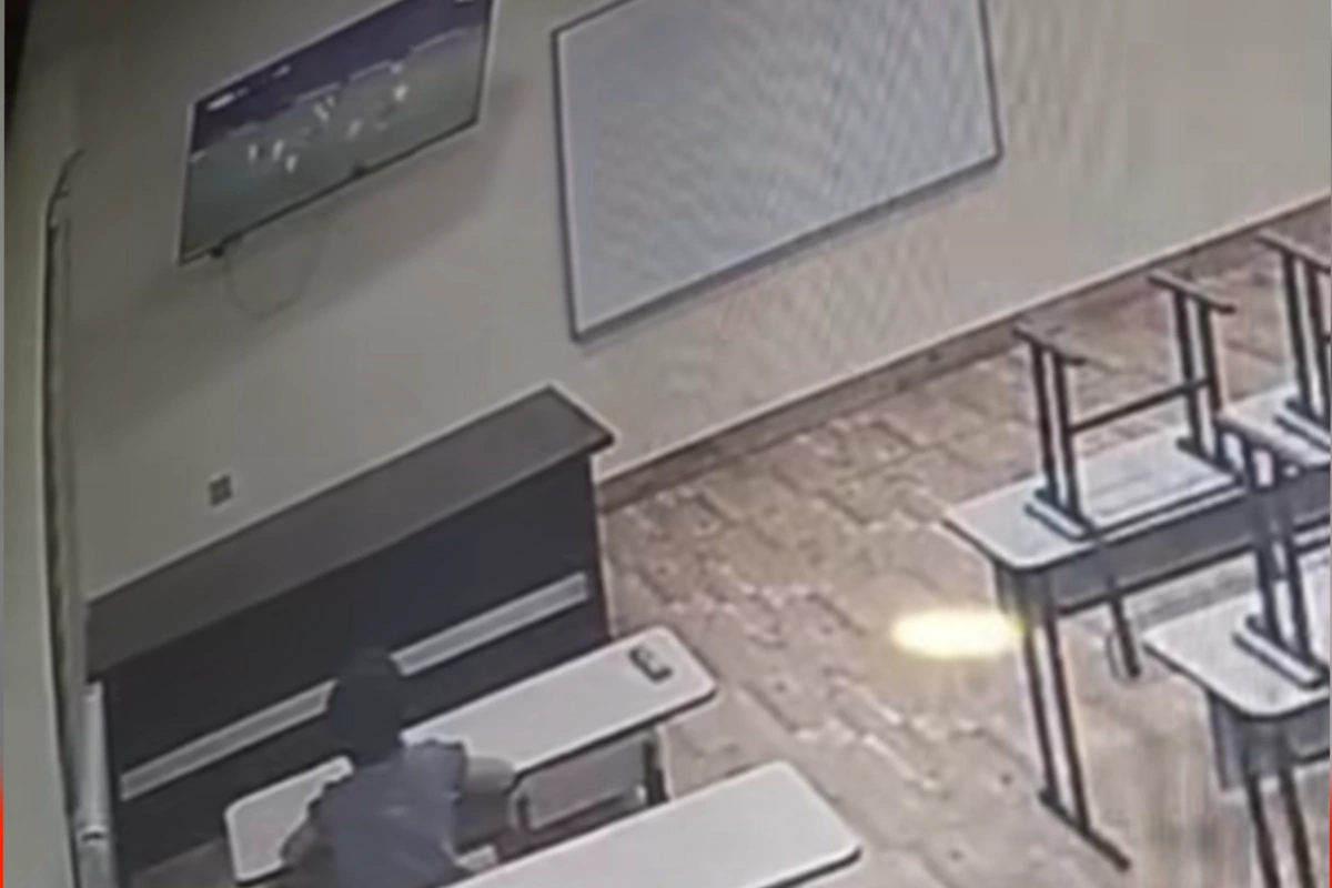 Любовь несовершеннолетнего к "Карабаху" в приюте - ВИДЕО