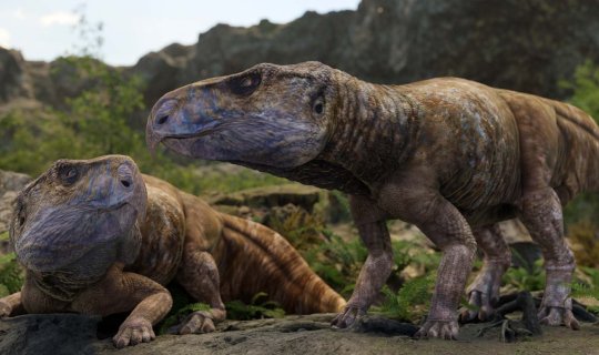 В Европе обнаружен утраченный вид динозавров