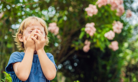 Spring is coming, allergies are increasing -&nbsp;How to protect children from pollen allergy?