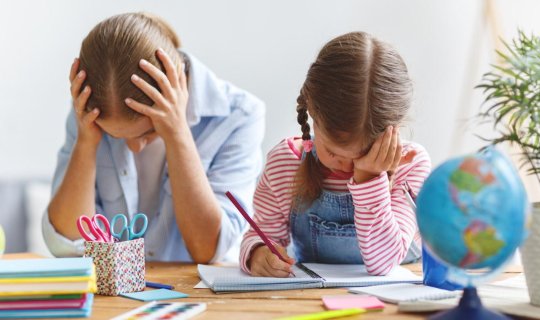 Tətil bitdi, beyin hələ &ldquo;istirahətdədir&rdquo; -&nbsp;abituriyentlər niyə dərs oxuya bilmir?