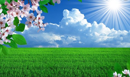 How will the weather be today?