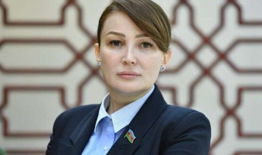 Sabiq deputat&nbsp;tələbə oldu