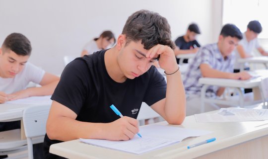 Вместо эссе и текстовых вопросов на выпускном экзамене должны быть включены логические вопросы