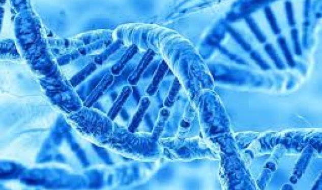 Genetik xəstəliklər uşağa daha çox anadan keçir, yoxsa atadan?