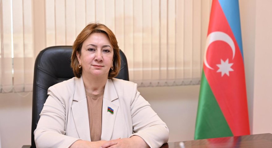 ABŞ-dən Azərbaycana tələbə axını 5-7 ildə reallığa çevrilə bilər