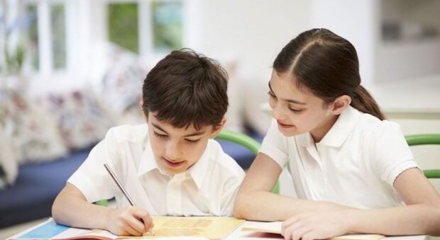 Texniki fənlərdə oğlanlar öndədir: “Riyaziyyatda uğur özgüvəndən asılıdır”