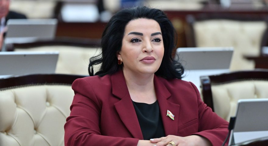 Elmin məqsədi yalnız məşğulluq deyil,&nbsp;real inkişaf hədəfdir