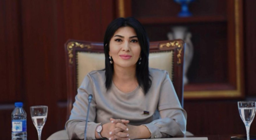 "Kitabxana və mədəniyyət evlərinin zəifləməsi gənclərin inkişafına təsir edə bilər"