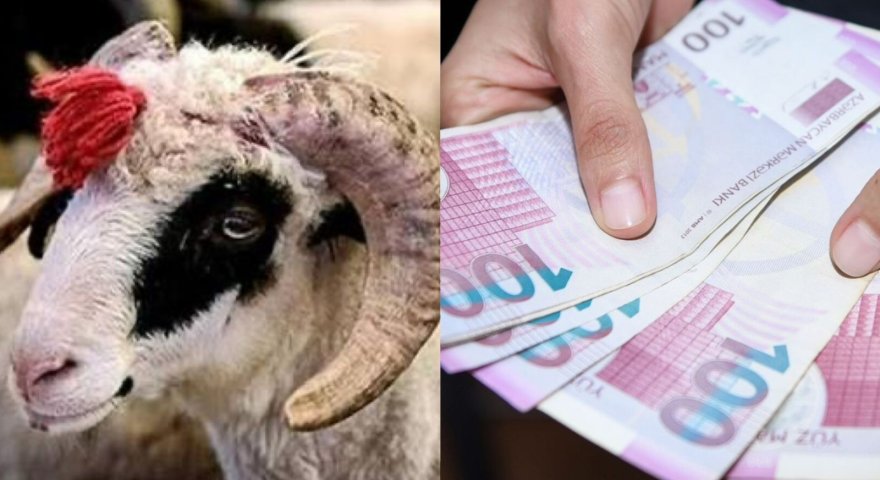 Müəllimlər bayramda nə qədər pul mükafatı alacaq? - məbləğlər AÇIQLANDI