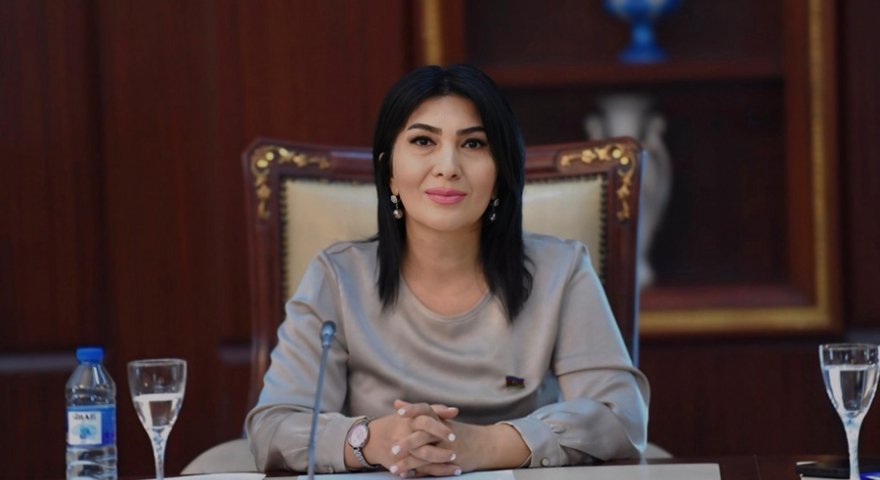 &nbsp;&ldquo;Kitab oxumayan cəmiyyətin böyük ideyaları ola&nbsp;bilməz&rdquo; - Deputatın&nbsp;&ldquo;Təhsil Resepti&rdquo;