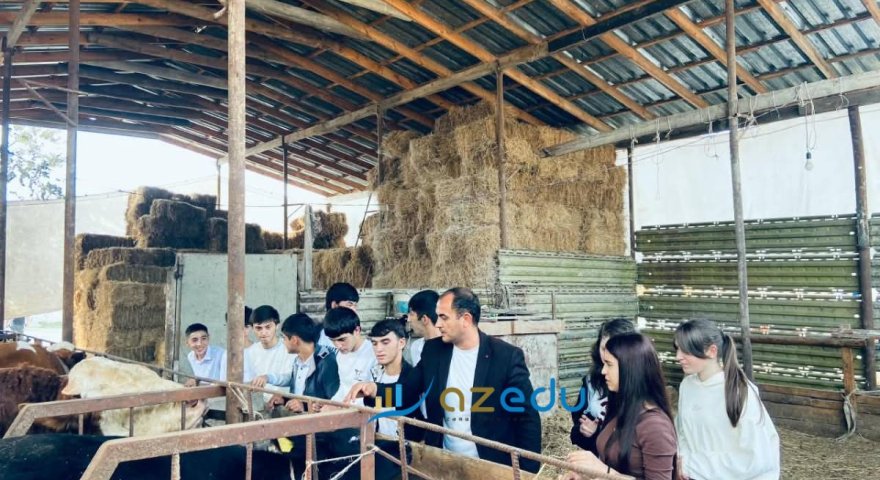 Heyvan sevgisi peşə seçiminə çevrildi -&nbsp;Baytarlıq təhsili alan QIZLAR