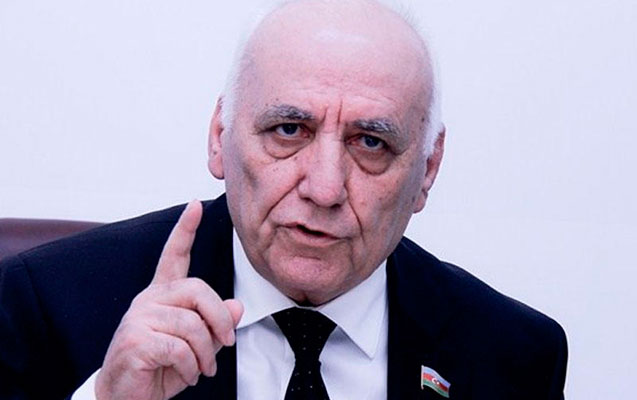 “Fikriniz nədir, ermənilərin başını sığallayım?” - Akademik