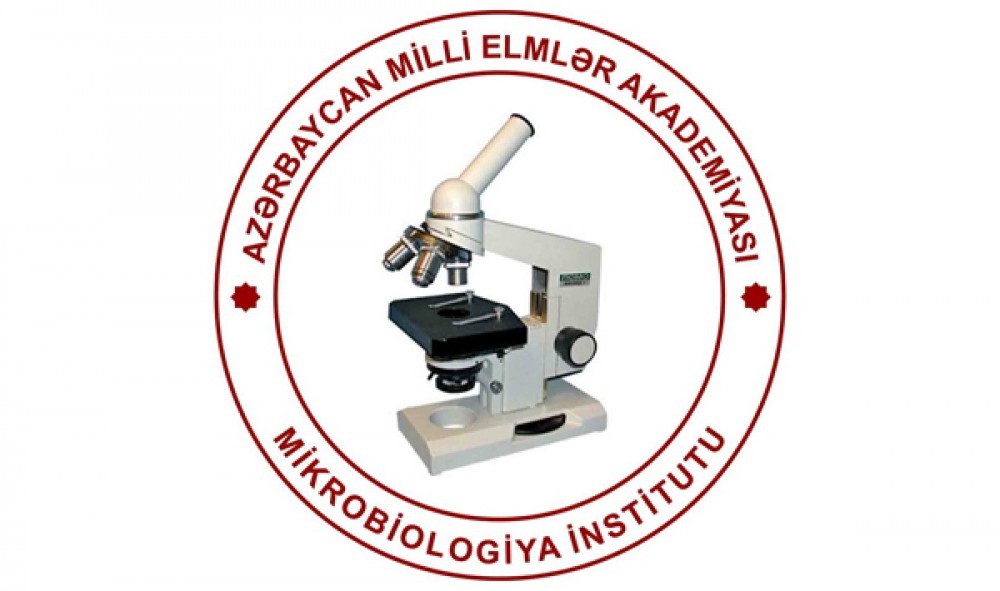 Azərbaycanlı alimin layihəsi beynəlxalq müsabiqədə qalib gəlib