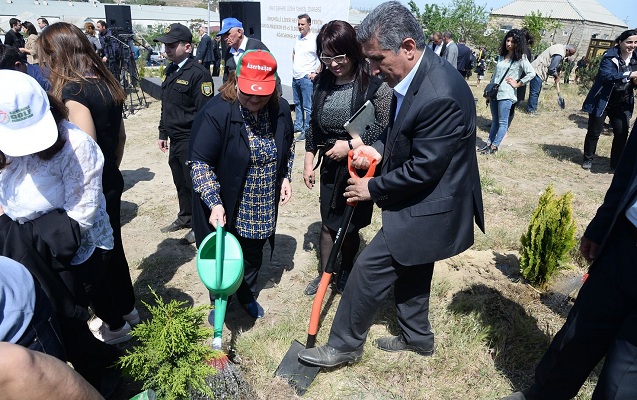 Təhsil işçiləri ağacəkmə aksiyasında - Fotolar