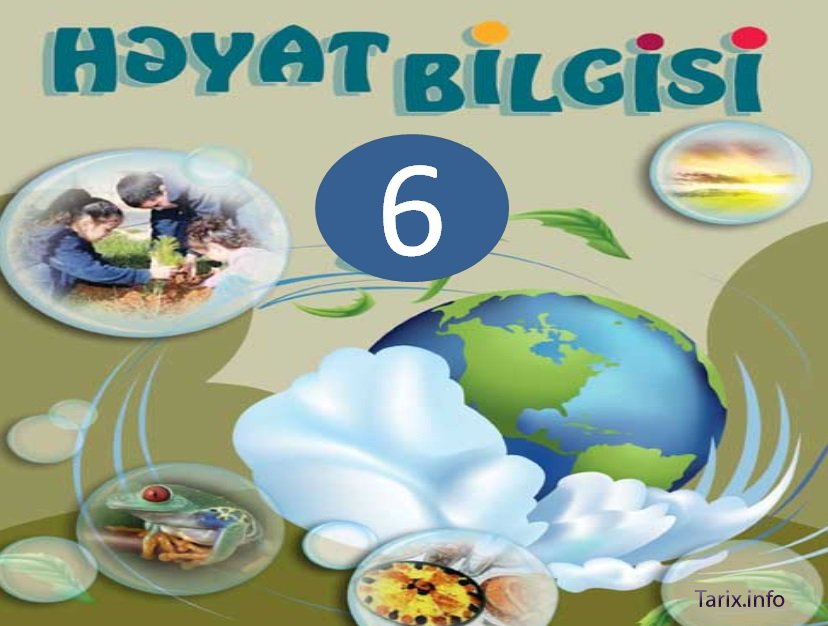 Məktəblərdə “Həyat bilgisi”ni kim keçməlidir?- Bir fənlik xaos  