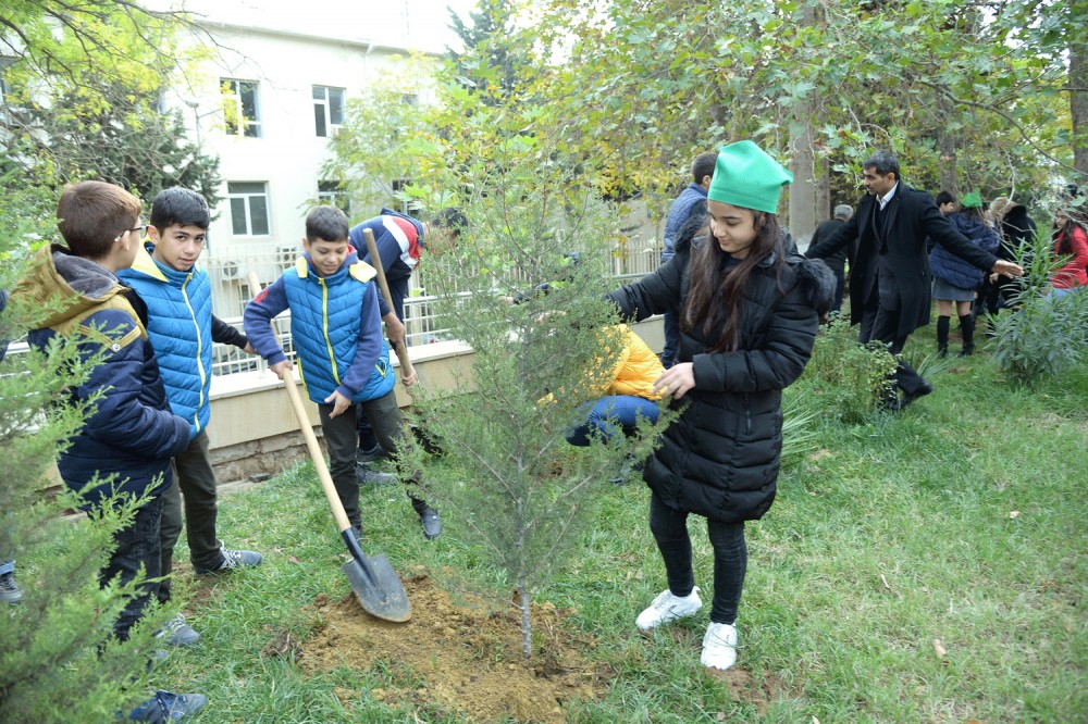 Paytaxtdakı ümumtəhsil məktəblərində yeni yaşıllıq zolaqları salınıb