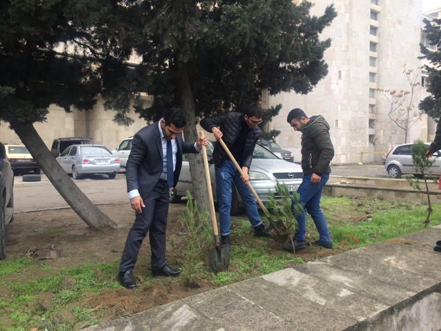Tələbələr yaşıllaşdırma aksiyasına qoşuldu
