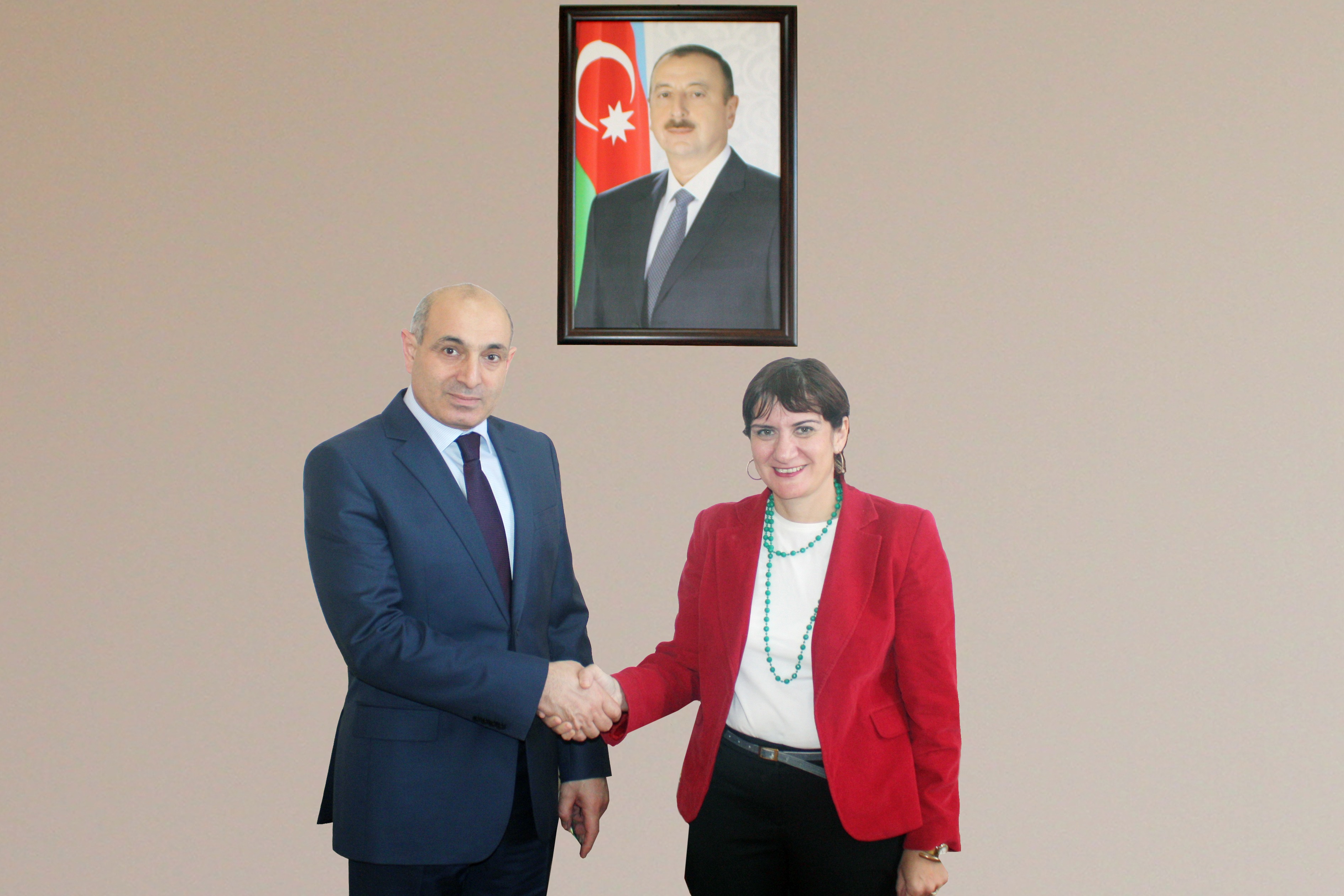 Qulu Novruzov Gülhan Yüzereroğlunu qəbul etdi