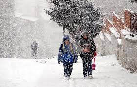 Məktəblər bu səbəbdən bağlandı