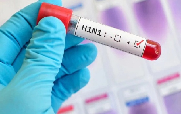 “Xəstə şagird məktəbə getsə, gec sağalıb ağırlaşmaları yaranacaq” – Deputatla həkimin “gürcü təlaş”ına reaksiya