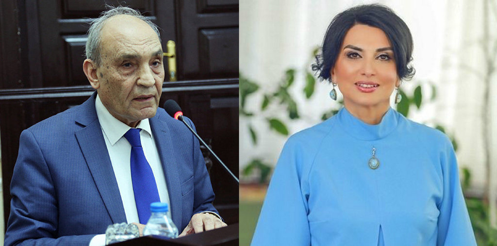 Deputat və professor Nəsiminin məzarı ilə bağlı addımı yüksək qiymətləndirdi    