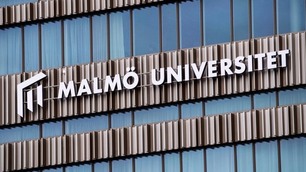İsveç universitetində Azərbaycan dili kursları açılıb  