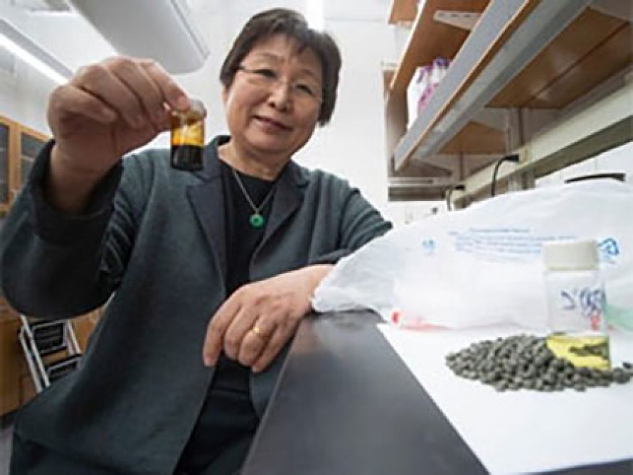 Alimlər yeni texnologiyalarla plastik tullantıları neftə çevirəcək