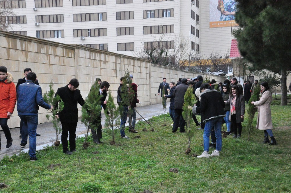 Bakı Dövlət Universitetinin 100 illiyinə 100 ağac əkilib  