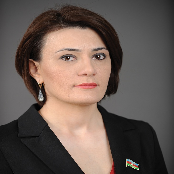 Deputatdan iki nazirliyə ÇAĞIRIŞ: “Bəs onlar harada təhsil almalıdır?”