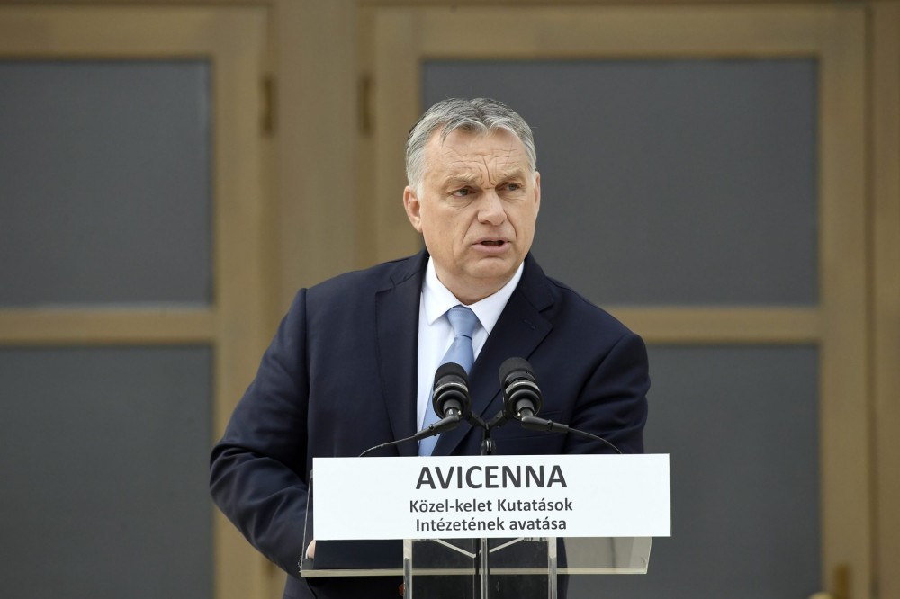 Macarıstanda İbn Sina İnstitutunun açılışı olub