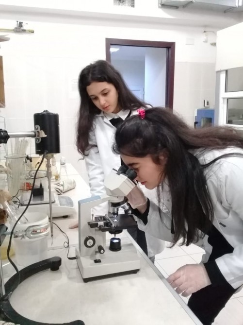 Məktəblilərimiz beynəlxalq elmi ideya və layihə olimpiadasında iştirak edəcəklər  