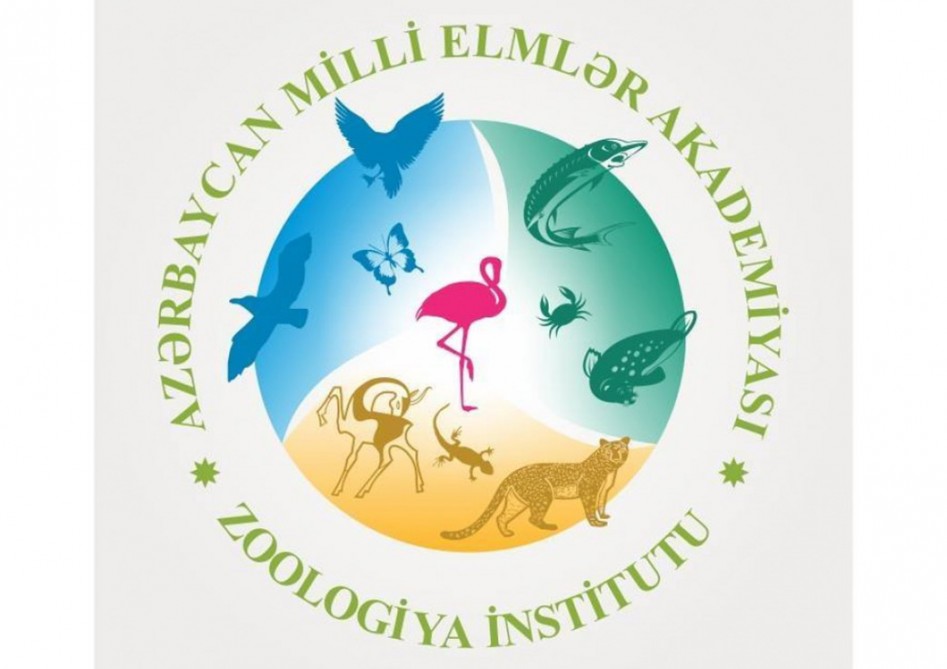 Zoologiya İnstitutunda tədqiqatlar davam edir