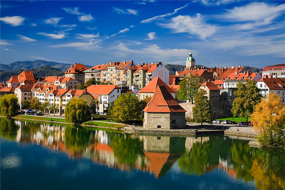 Sloveniyada təhsil almağın özəllikləri - Ekspert tövsiyələri  