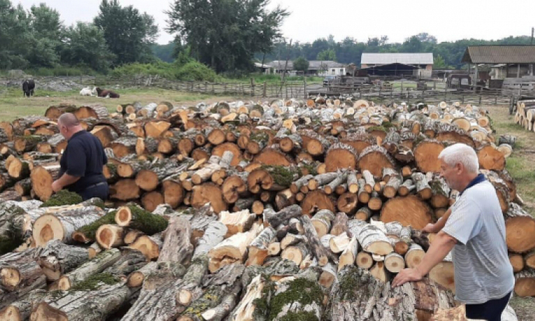 Xaçmaz rayon məktəblərinə 600 kubmetr odun ayrılıb