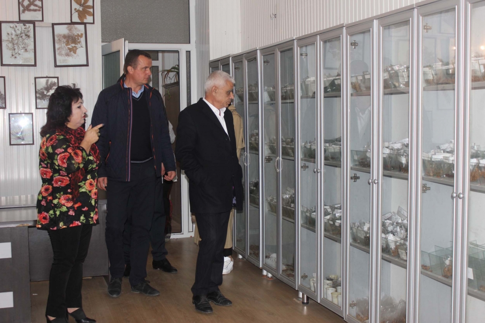 Rusiyalı alimlər Dendrologiya İnstitutunda becərilən bitkilərlə maraqlanıblar