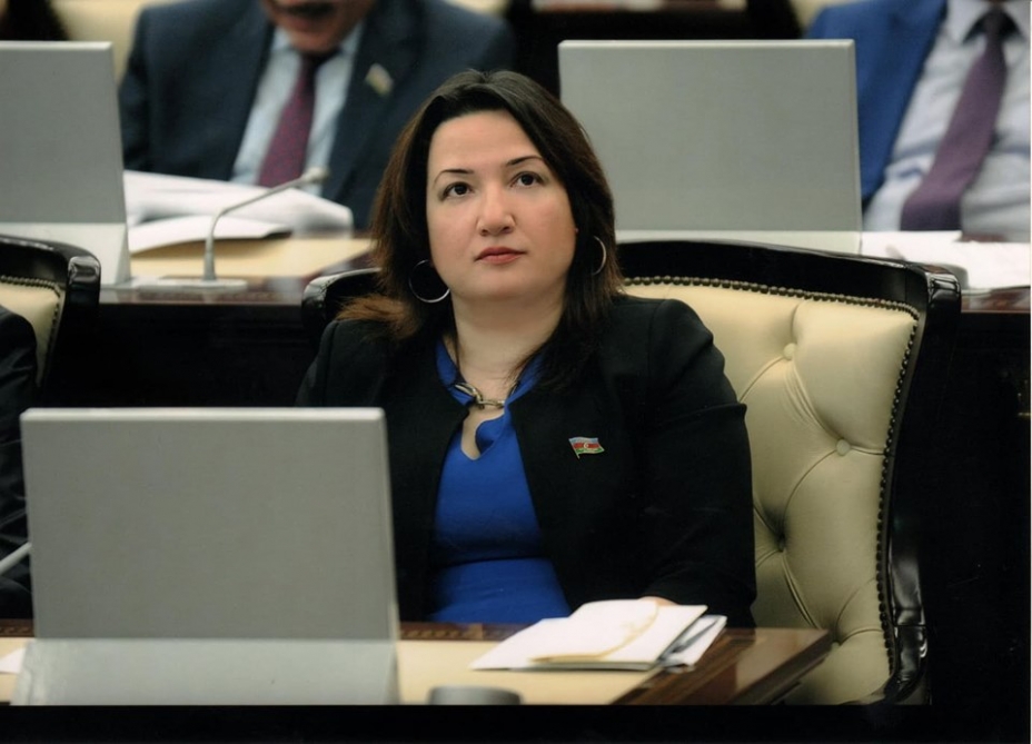 “Könüllülər ili” gənclərin fəaliyyətinə böyük stimul olacaq