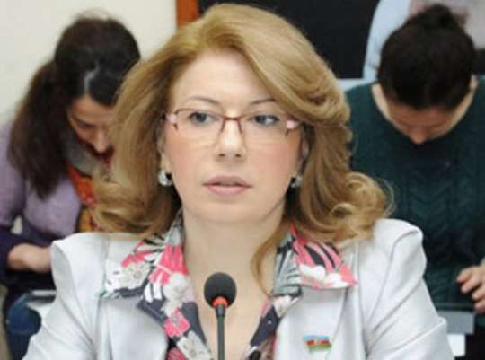 AMEA-nın institut direktoru olan bu deputat seçkilərə qatılmayacaq