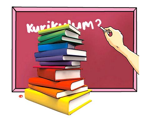 MİQ-də kurikulum üzrə təqdim edilən situasiya tipli sual nümunələri – Doğru cavabları ilə