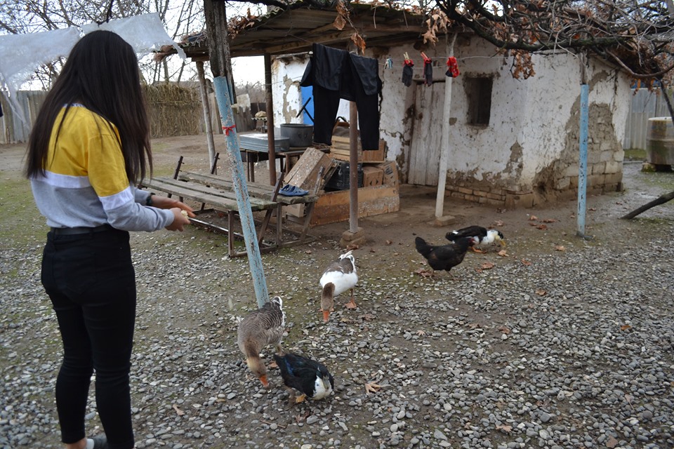 Region gənclərimiz #konulluqonaq-la könülləri fəth etməyə davam edirlər. 