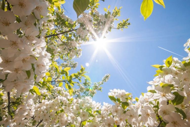  Novruz çərşənbələrinin tarixləri açıqlandı