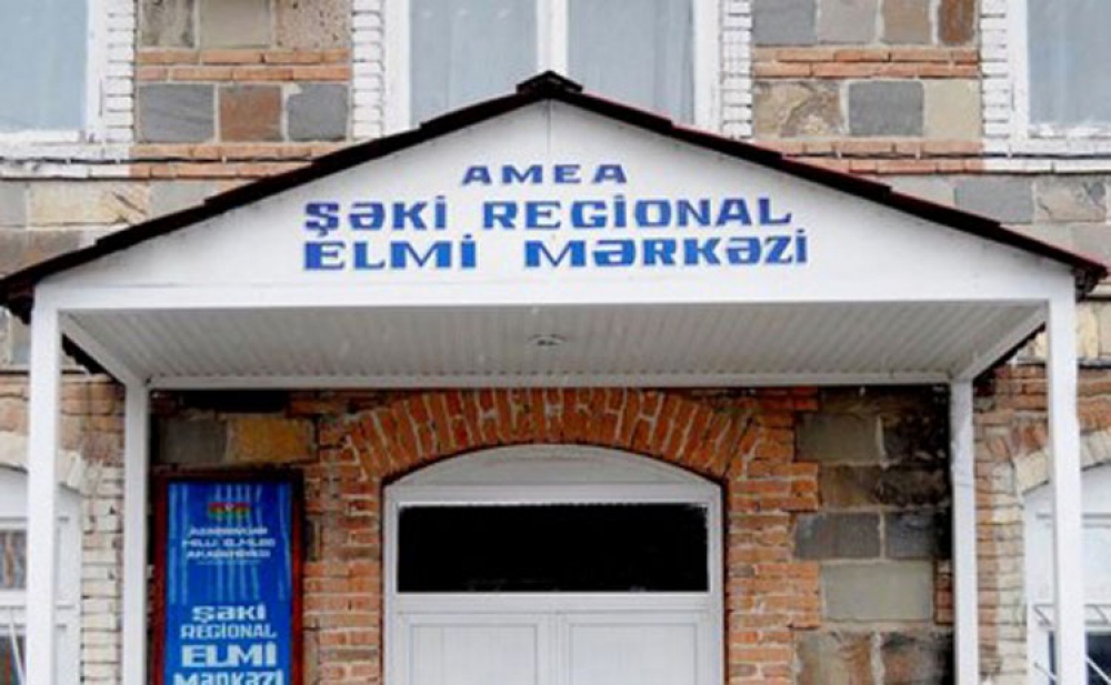 Şəki Regional Elmi Mərkəzinin alimləri tut ipəkqurdu cinsləri və hibridlərin yaradıcısı kimi patent alıblar