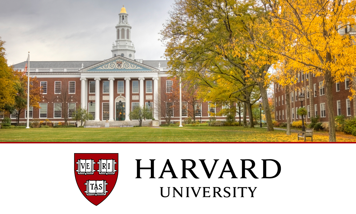 Gənc alim Harvard Universitetinin sertifikatına layiq görülüb