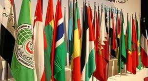 Azərbaycanın Türkiyədəki səfiri və Təhsil Nazirliyinin departament müdiri İƏT Modeli iştirakçılarına mühazirə dedilər