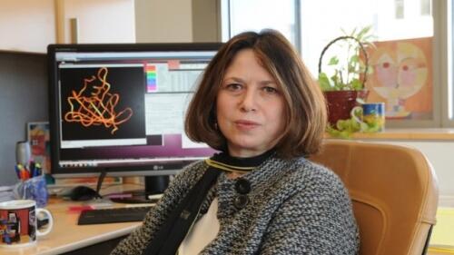 Qısa müddətdə birdən çox peyvənd tapılacaq - Tanınmış professor açıqladı