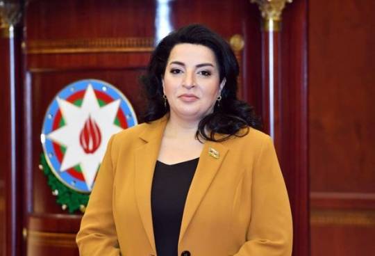 Deputatdan dövlət qulluğuna qəbulla bağlı mühüm TƏKLİFLƏR