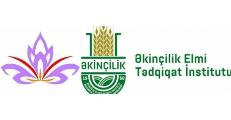 AMEA-da elmi-tədqiqat işləri aparılıb