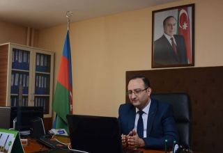 Azərbaycan İlahiyyat İnstitutunda (Aİİ) “Tarixi və dini baxımdan İslamda Qurban ibadəti” mövzusunda vebinar keçirildi