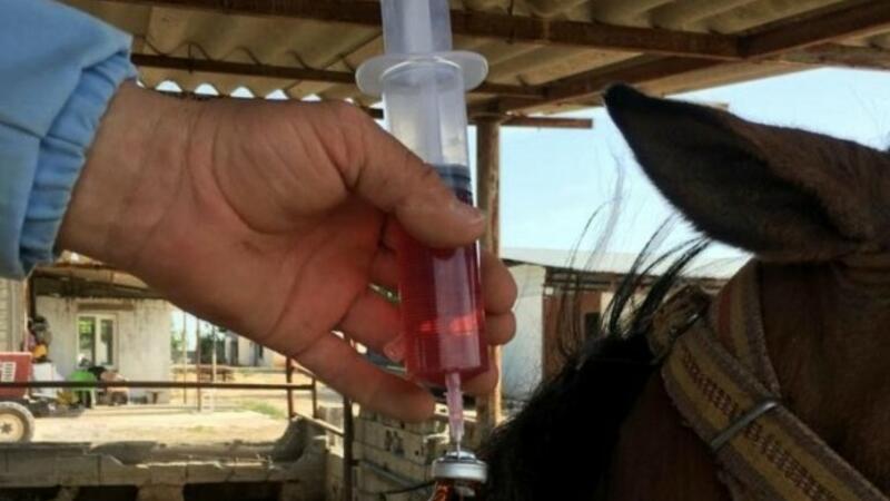 Türk professorlar dünyada analoqu olmayan COVID-19 serumu hazırladı: 6 həftə sonra...