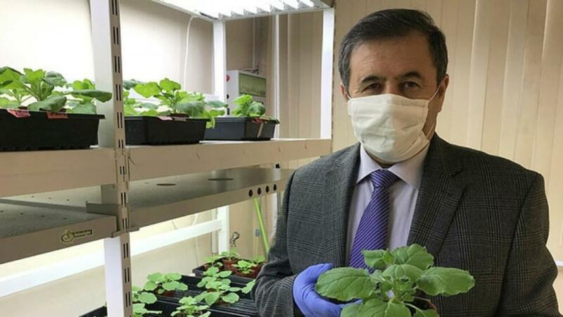 Koronavirusa qarşı vaksin hazırlayan azərbaycanlı professor: “Sınaqları uğurla başa vurmuşuq”
